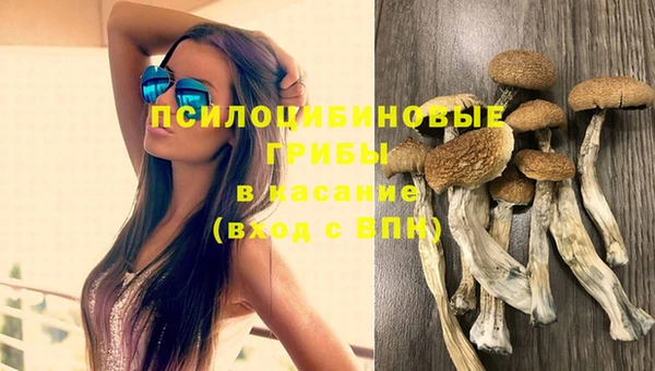 стаф Волоколамск