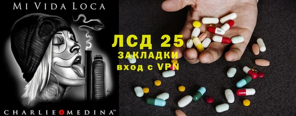 шишки Вяземский